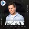 Prismatic w/ Tiesto