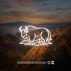 HEDEGAARD, Curbi – Dust 2 Dust
